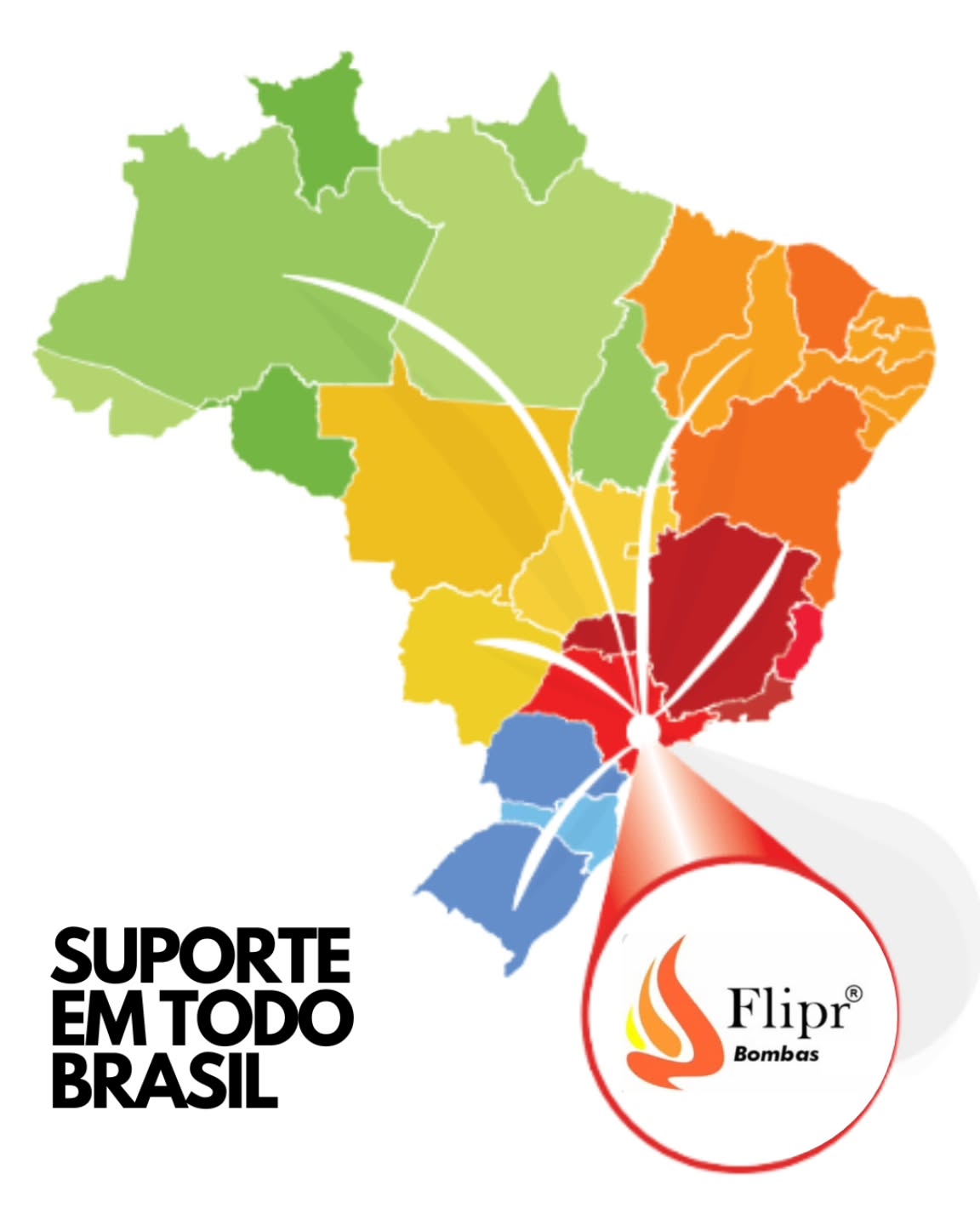 Sistema de Bombas Flipr